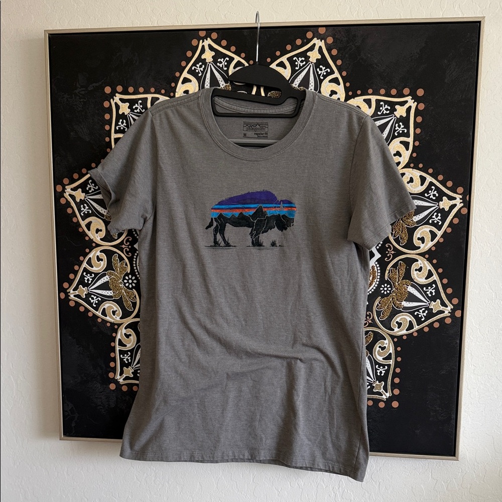 Patagonia Gray Short Sleeve Tee with Purple and Blue Design